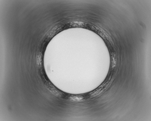 X0000115020561200912071030