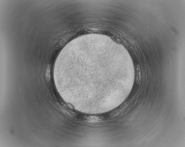 X0000115020562200912071030