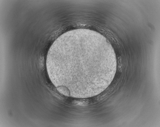 X0000115020563200912071030