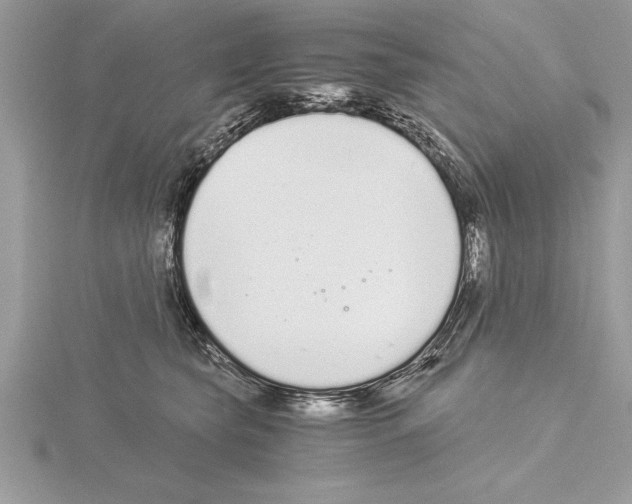 X0000115020565200912071030