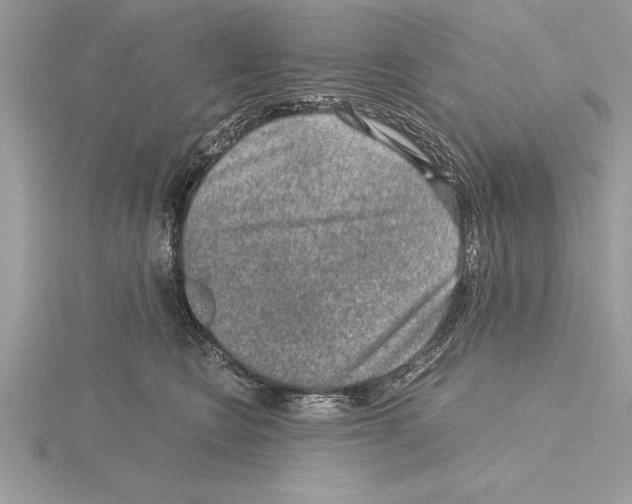 X0000115020566200912071030