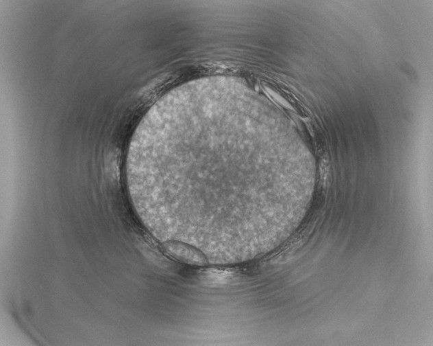 X0000115020570200912071030