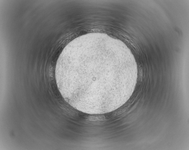 X0000115020571200912071030