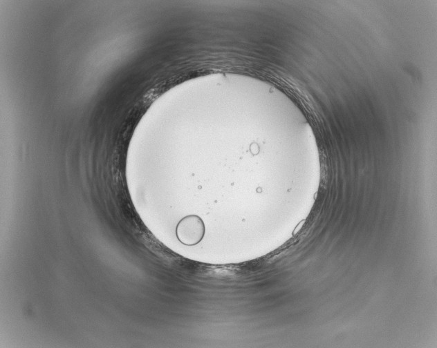 X0000115020573200912071030