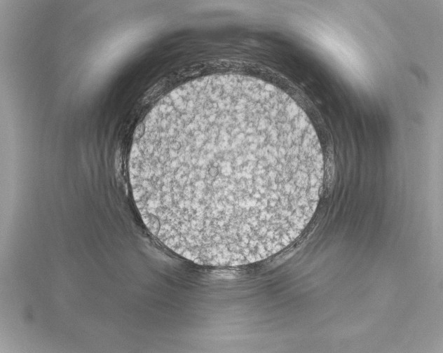 X0000115020574200912071030