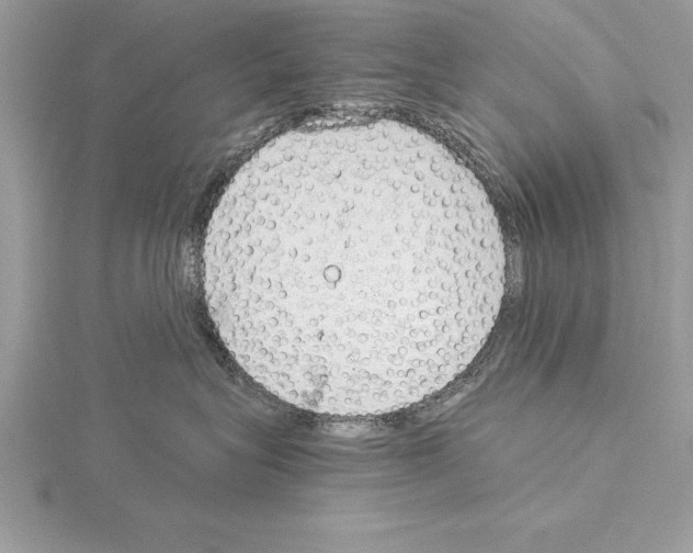 X0000115020575200912071030