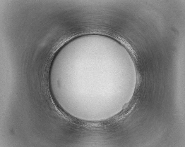 X0000115020577200912071029