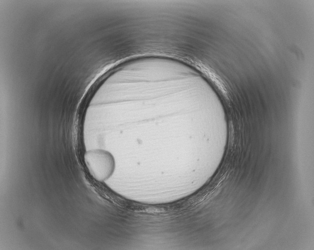 X0000115020580200912071029