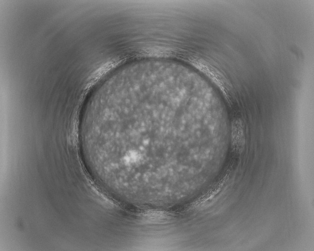 X0000115020581200912071029