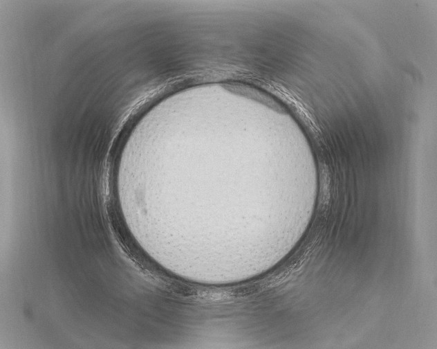 X0000115020582200912071029