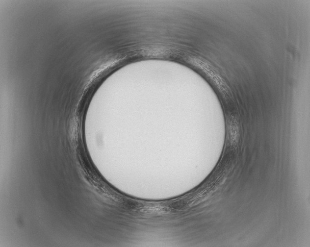 X0000115020583200912071029