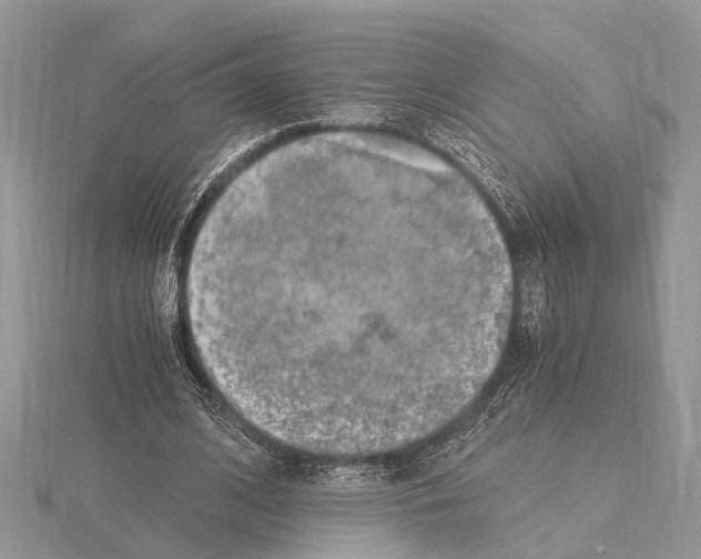 X0000115020584200912071029