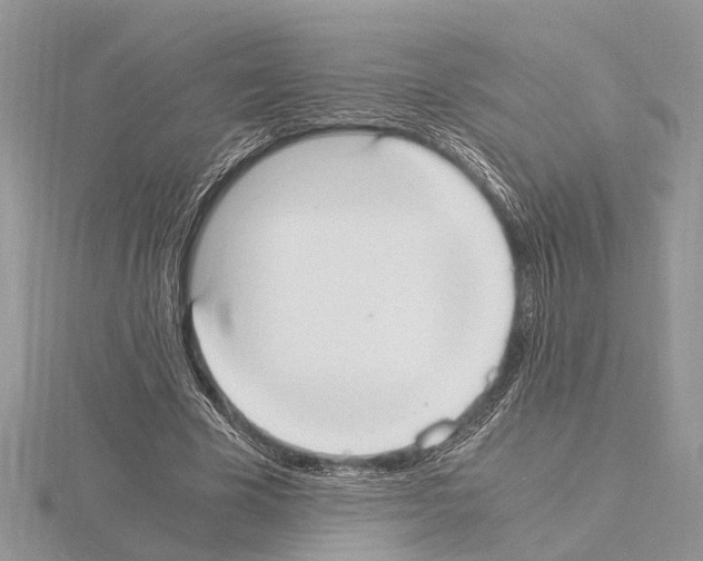 X0000115020585200912071029