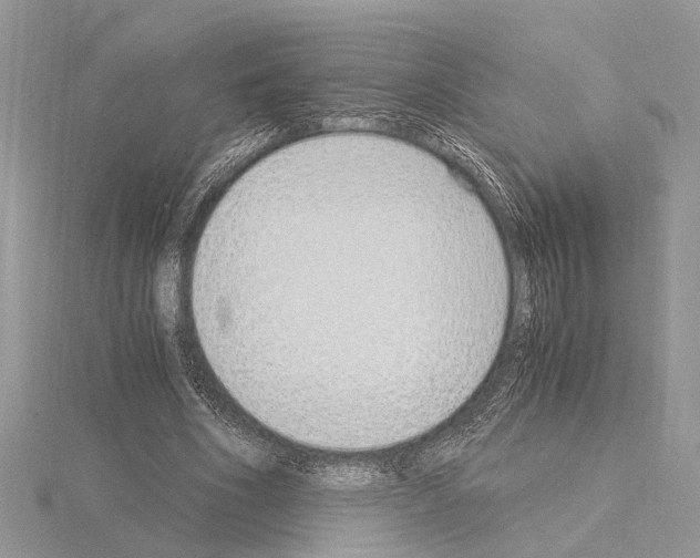 X0000115020586200912071029