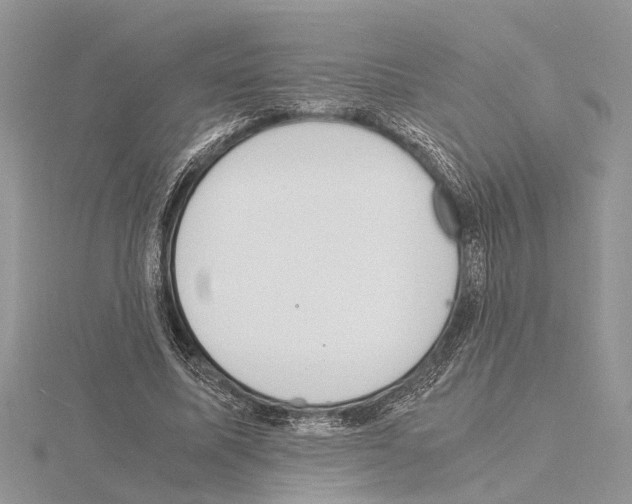 X0000115020587200912071029