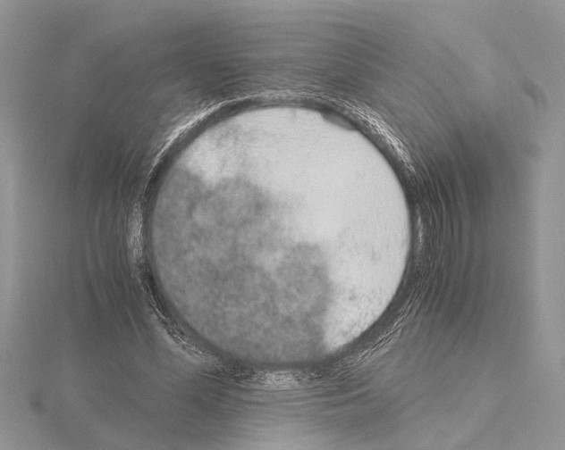 X0000115020588200912071029