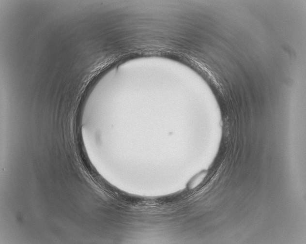 X0000115020589200912071029