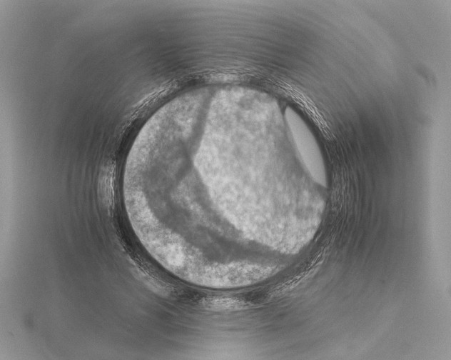 X0000115020590200912071029