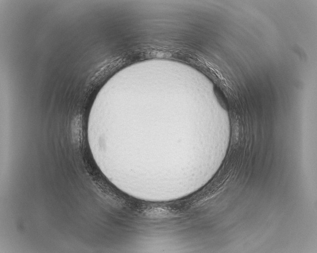 X0000115020594200912071029