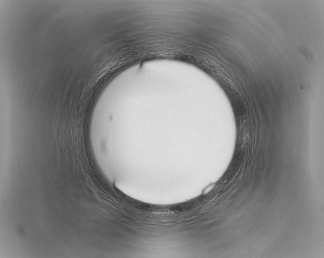 X0000115020595200912071029