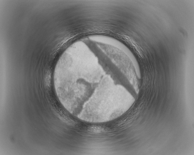 X0000115020596200912071029