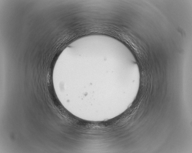 X0000115020597200912071029