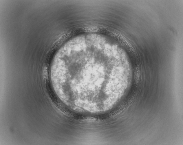 X0000115020598200912071029