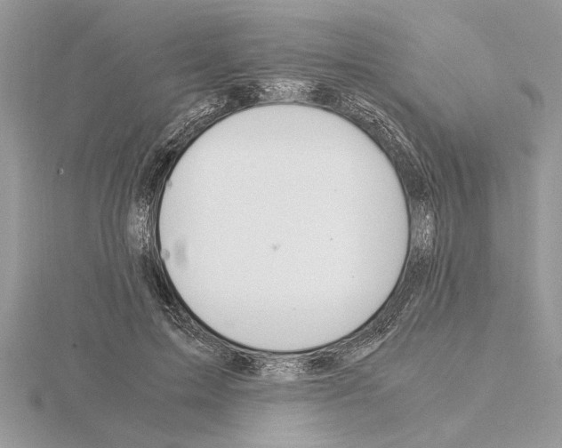 X0000115020599200912071029