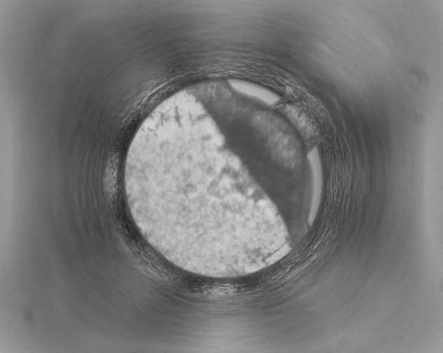 X0000115020600200912071029