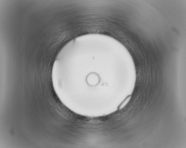 X0000115020601200912071029