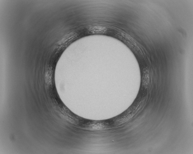 X0000115020604200912071029