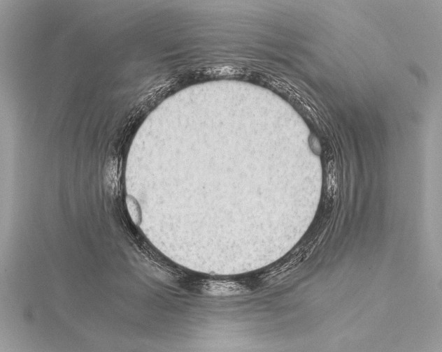 X0000115020605200912071029