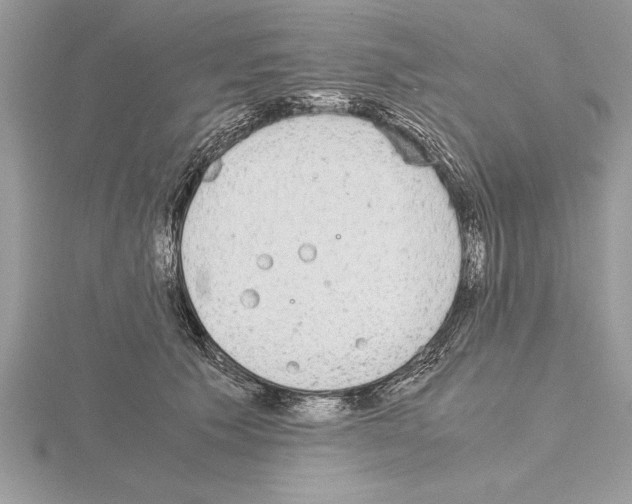 X0000115020609200912071029