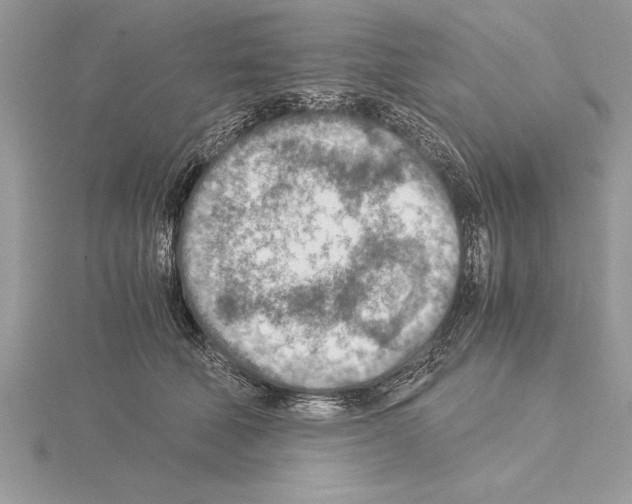 X0000115020610200912071029