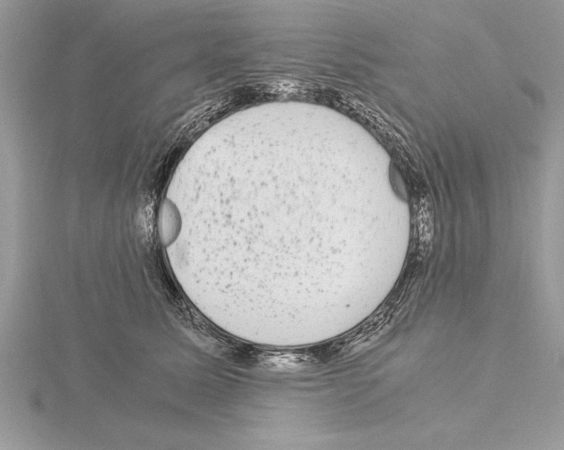 X0000115020611200912071029