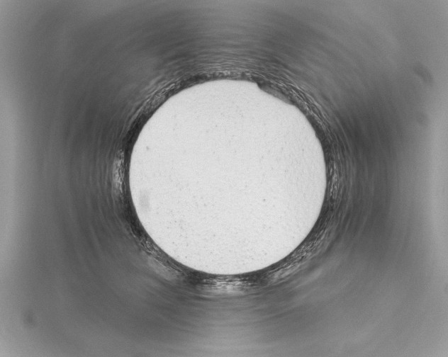 X0000115020612200912071029