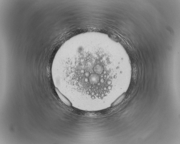 X0000115020613200912071029