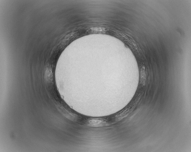 X0000115020614200912071029