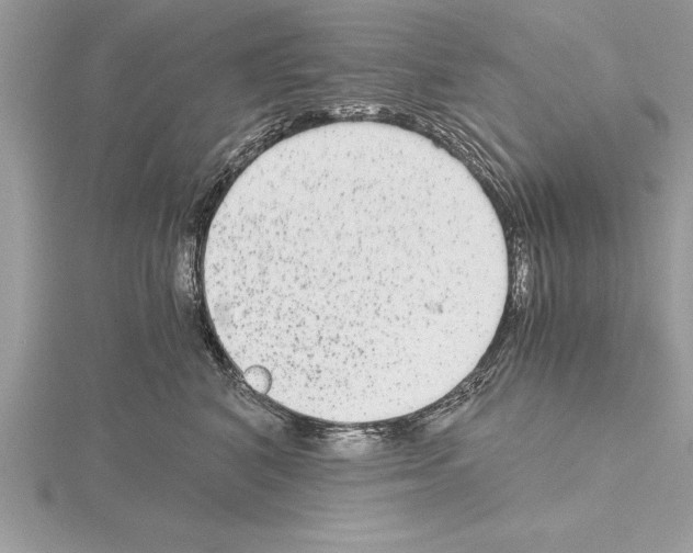 X0000115020616200912071029