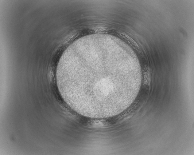 X0000115020618200912071029