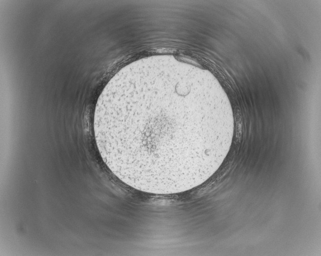 X0000115020620200912071029