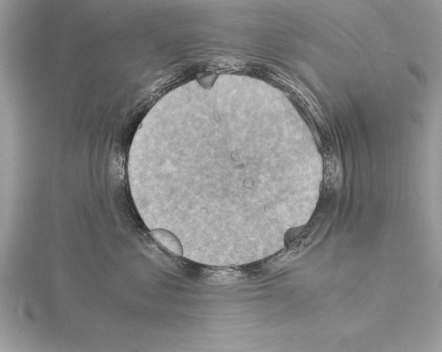 X0000115020621200912071029