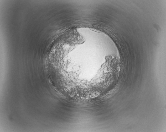 X0000115020624200912071029