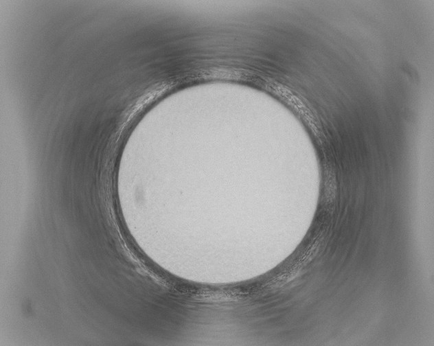 X0000115020625200912071028