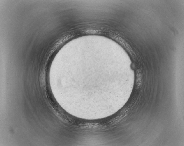 X0000115020626200912071028