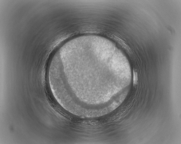 X0000115020627200912071028