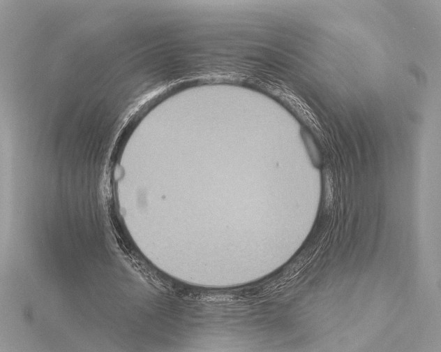 X0000115020628200912071028