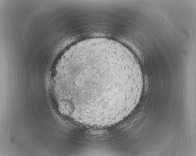 X0000115020631200912071028