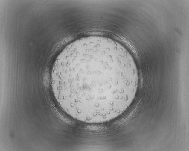 X0000115020633200912071028