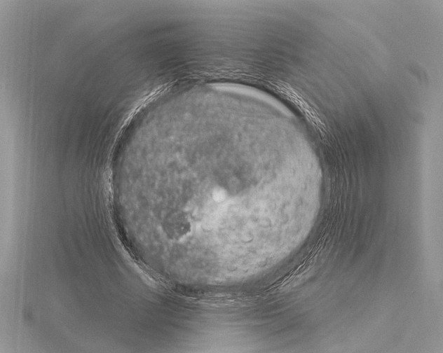 X0000115020634200912071028